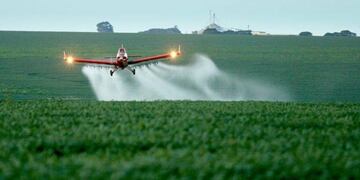 fumigacion pergamino 1