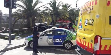 Un auto se estrelló contra una palmera en Benal, Quilmes (Web)