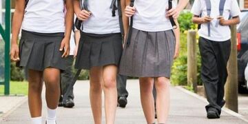 Hacerse la rata del colegio