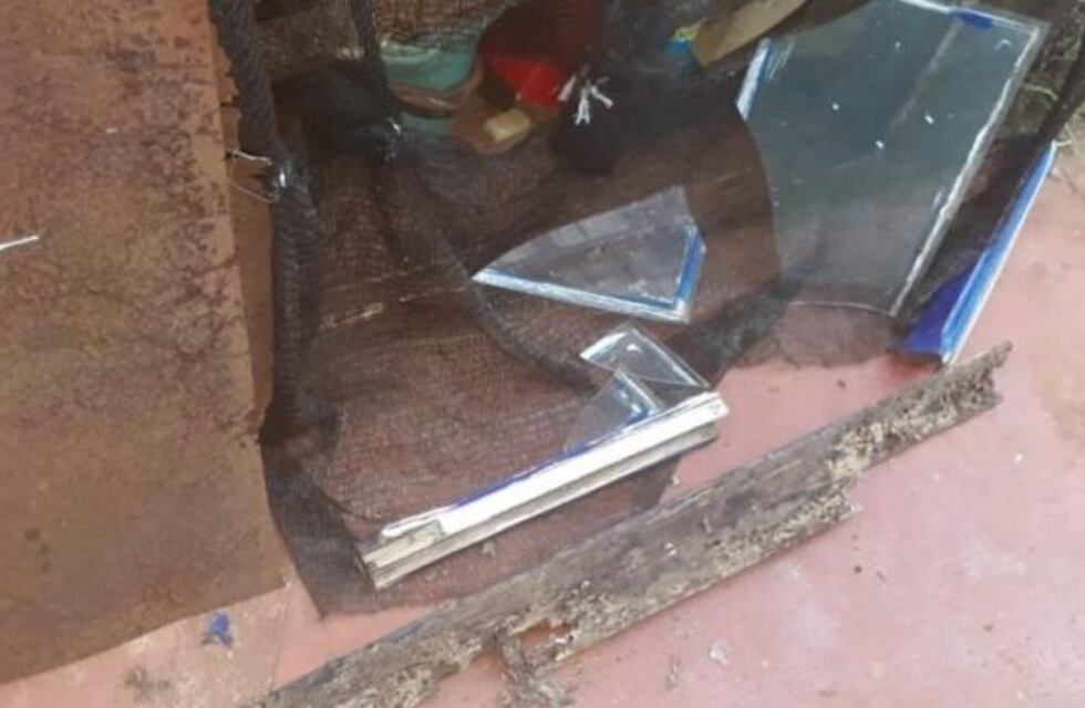 Robaron mercadería y elementos de una escuela especial