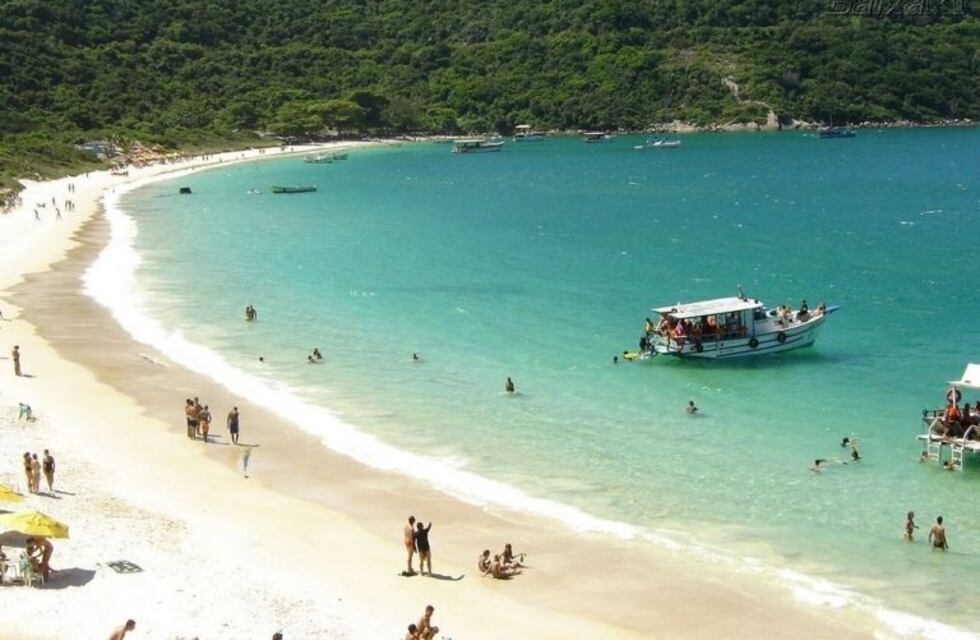 Fiebre amarilla: se incluyó a San Pablo entre las ciudades de riesgo