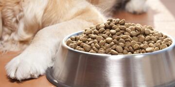 Robaron alimento para perros (imagen ilustrativa)