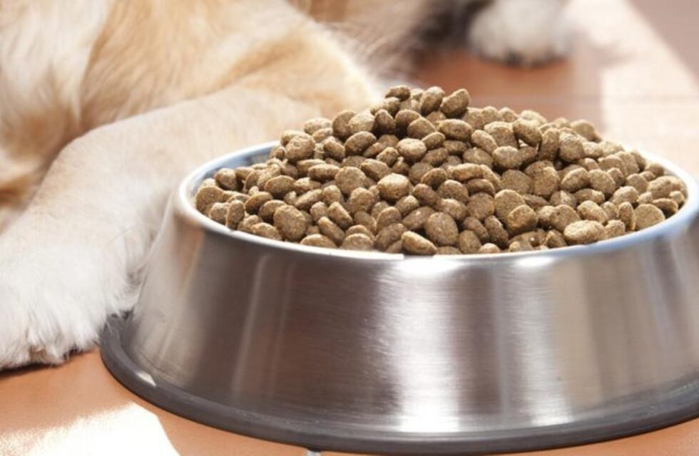 Engañaron a un comercio y se llevaron 400 kilos de comida para perros