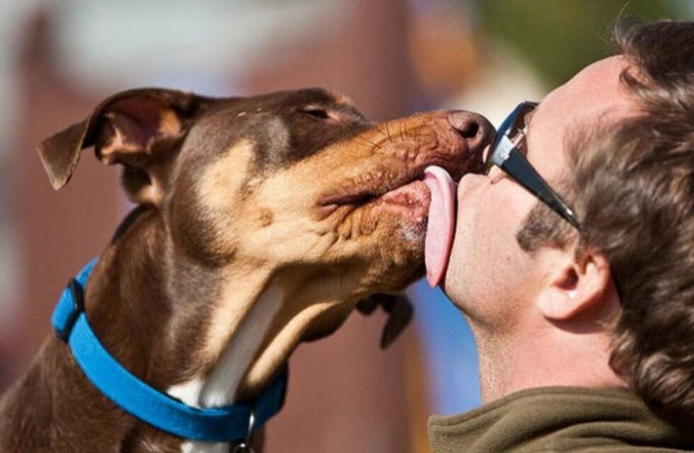 Alarma mundial por un virus que transmiten los perros y podría causar una pandemia