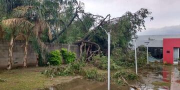 Destrozos en Santa Rosa de Río Primero por un fuerte temporal (Foto: Gentileza El Diario del Pueblo).