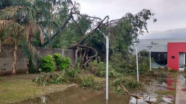 Destrozos en Santa Rosa de Río Primero por un fuerte temporal (Foto: Gentileza El Diario del Pueblo).
