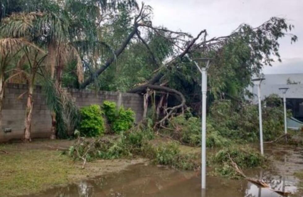 El clima en Córdoba: cómo estará el tiempo este sábado 10 de diciembre