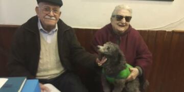 Apareció Mara, la perrita que sus dueños ofrecían su jubilación de recompensa