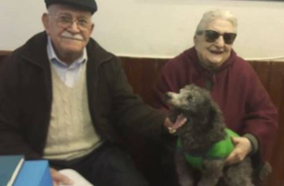 Apareció Mara, la perrita por la que sus dueños ofrecían su jubilación de recompensa