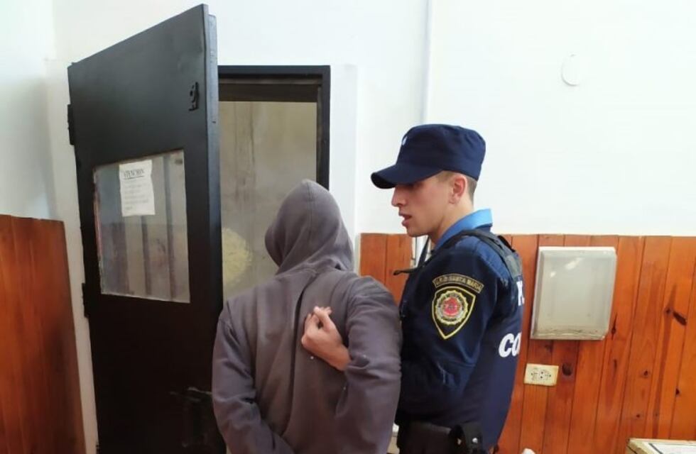 Cuatro detenidos por robar choclos de un campo