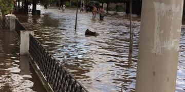 Inundaciu00f3n la emilia