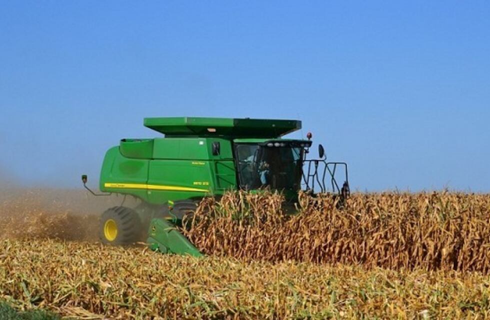 A nivel mundial, Córdoba ocupa el octavo puesto en producción de maíz