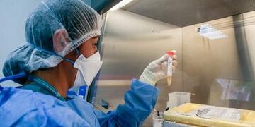 Laboratorio coronavirus