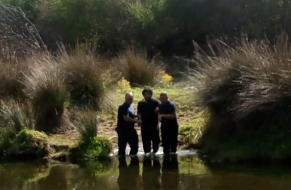 Se había perdido y lo encontraron oculto entre unos pastizales
