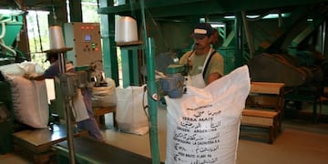 Yerba Mate exportación