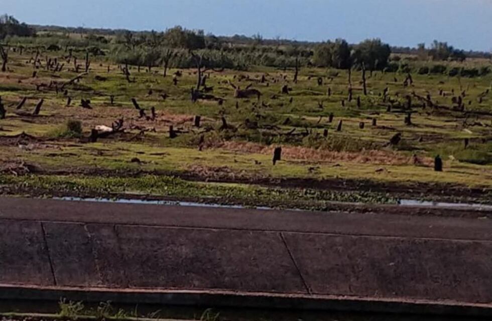 Ramón Lista, Matacos y Bermejo padecen las consecuencias de la fuerte sequía en el oeste
