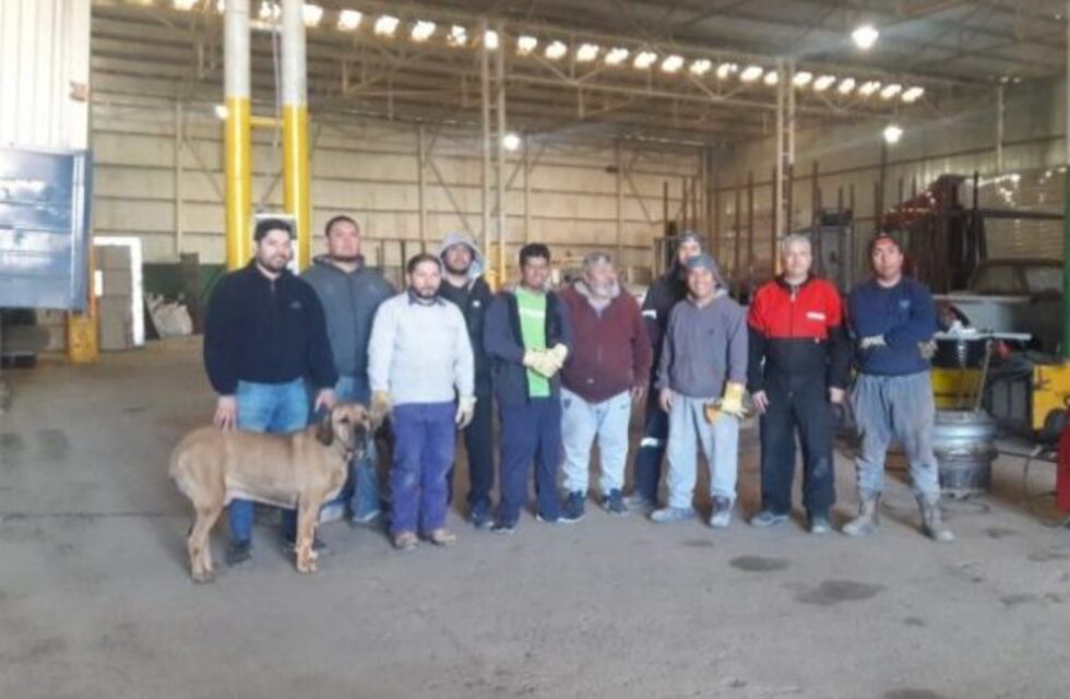 Ex trabajadores hacen salamandras para las familias más necesitadas