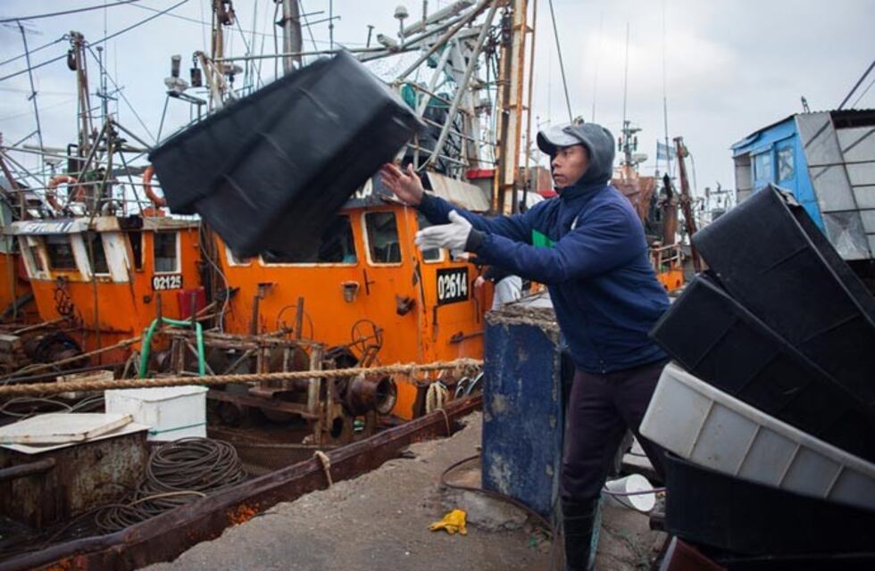 Rawson: se acordó el nuevo precio del langostino por la Flota Amarilla y el SOMU