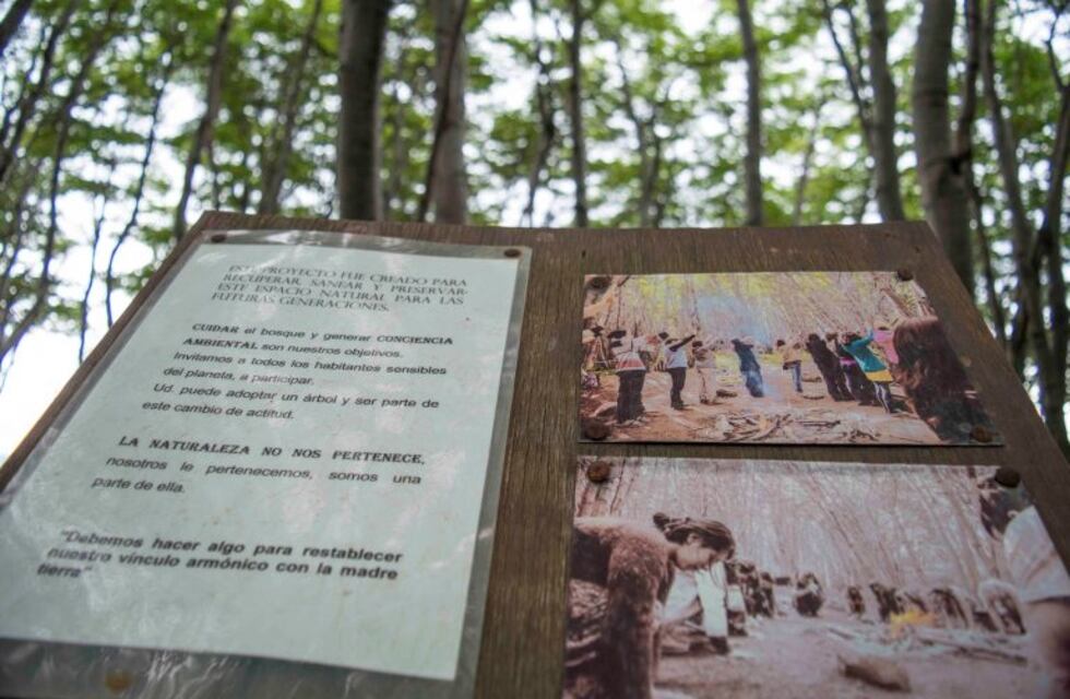 Ushuaia será anfitriona de las "Jornadas Forestales de Patagonia Sur 2019"