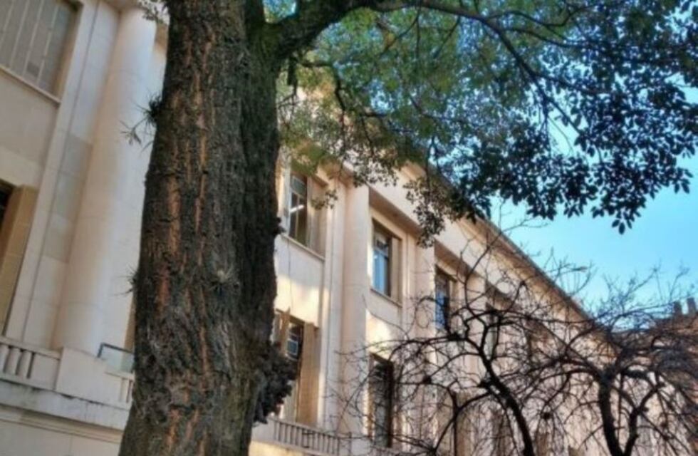 Jornadas informativas en la Escuela Judicial del Consejo Asesor de la Magistratura tucumano