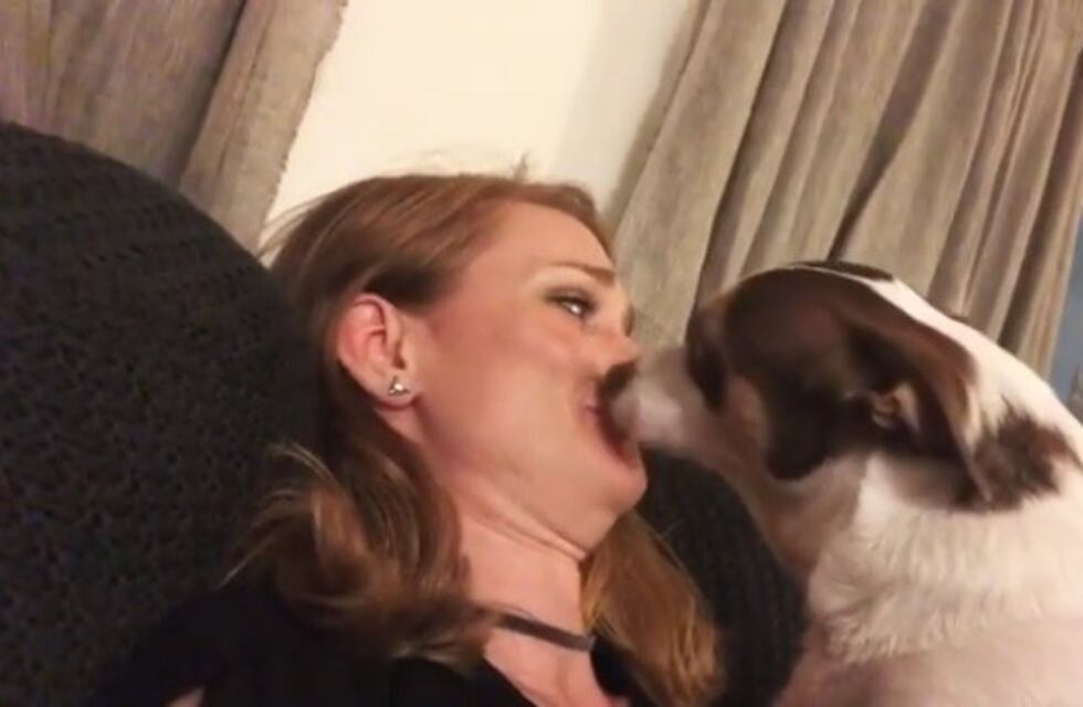 Este perro que odia los besos de sus dueños se hizo viral