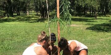 Las Leonas plantaron arboles en la Reserva Natural del Camping General San Martín\u002E