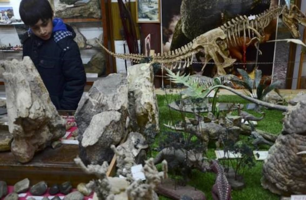 Los fósiles que se iban a trasladar a España aun no salen de la provincia por "demasiadas condiciones"