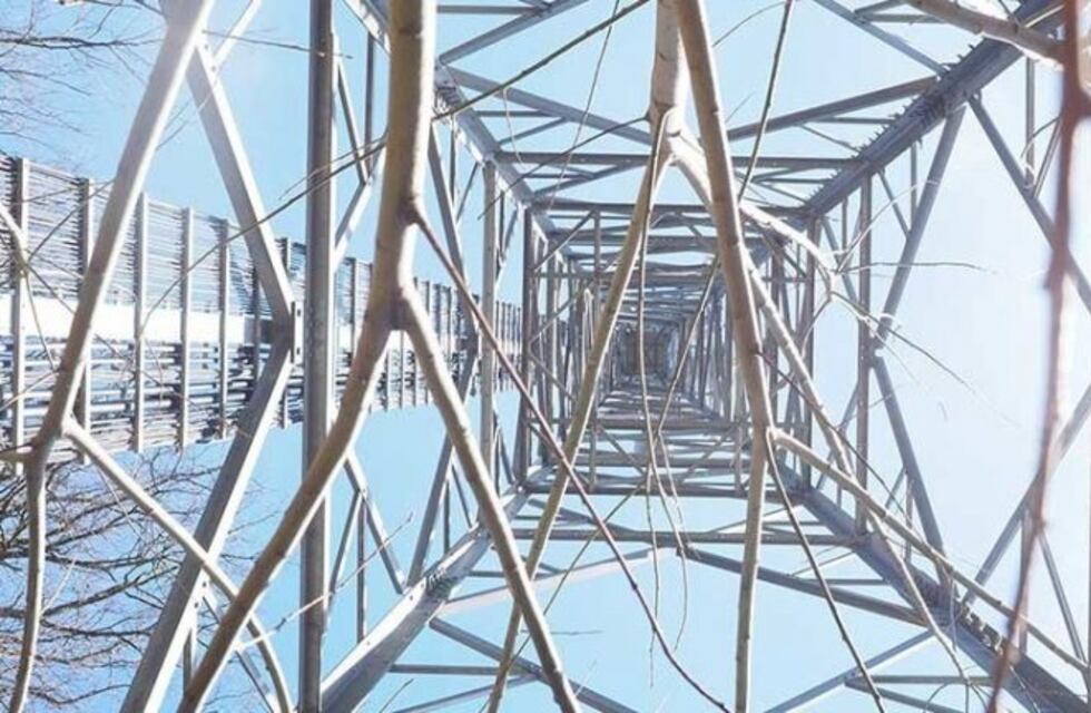 La ilusión auditiva que está haciendo furor en las redes