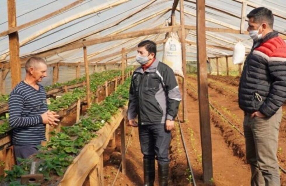 El IFAI visitó a productores del norte de Misiones