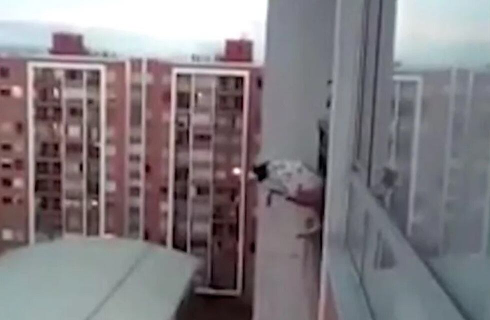 Salvó a un perrito que casi cae de un décimo piso