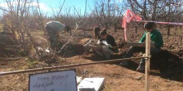 Hallazgo arqueológico: los restos serían de una mujer que vivió hace más de 1.000 años