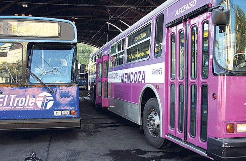 Se rematarán 17 troles canadienses y 16 micros Volkswagen