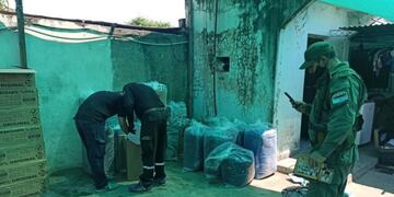 Detienen a Gendarme por robar 300 mil pesos y más de 2 mil dólares