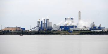 Pastera UPM Fray Bentos\nCrédito: Web