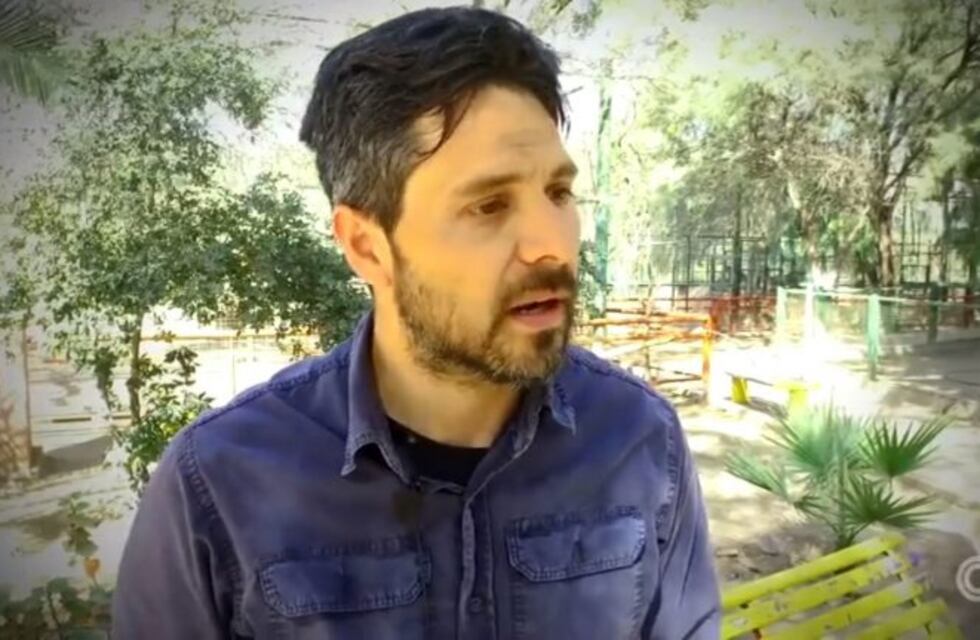 Expectativa por el traslado de felinos a Sudáfrica