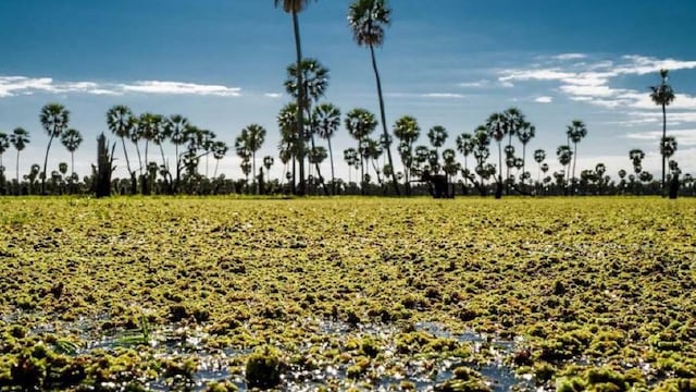Descubre los Parques Nacionales más buscados en Argentina: ¿Cuáles son?