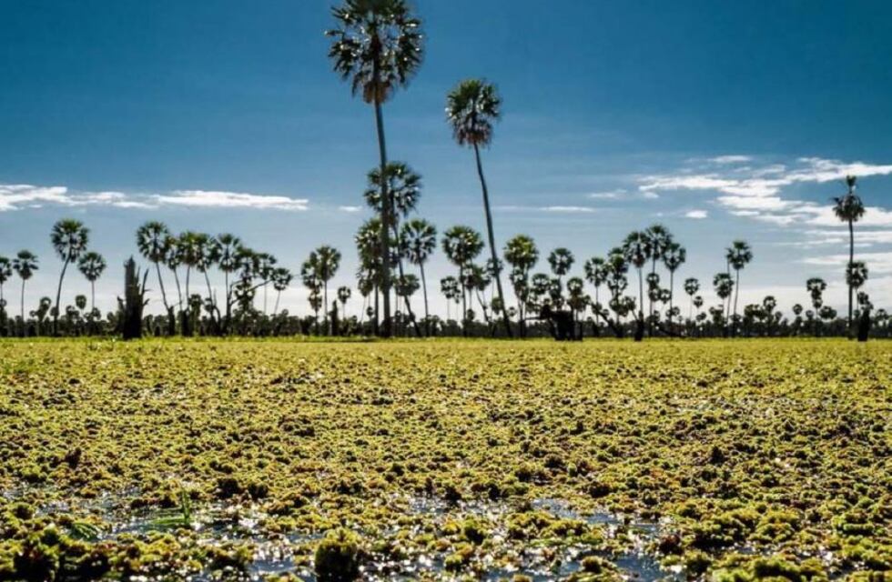 Descubre los Parques Nacionales más buscados en Argentina: ¿Cuáles son?