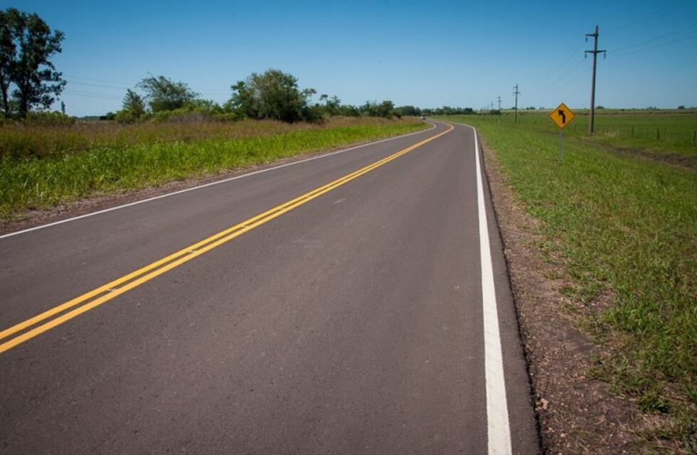 Proponen forestar las márgenes de rutas entrerrianas con especies nativas