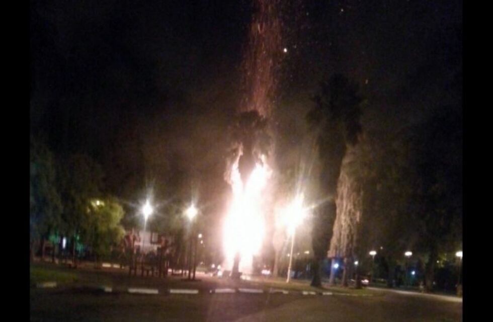 Incendiaron una palmera en el Parque Independencia y se sospecha de un acto vandálico