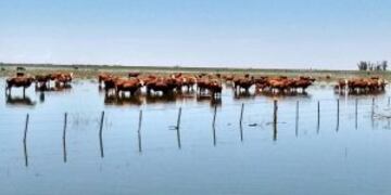 La Federaciu00f3n Agraria Cu00f3rdoba reclama que no se hacen las obras, tras la inundaciones.