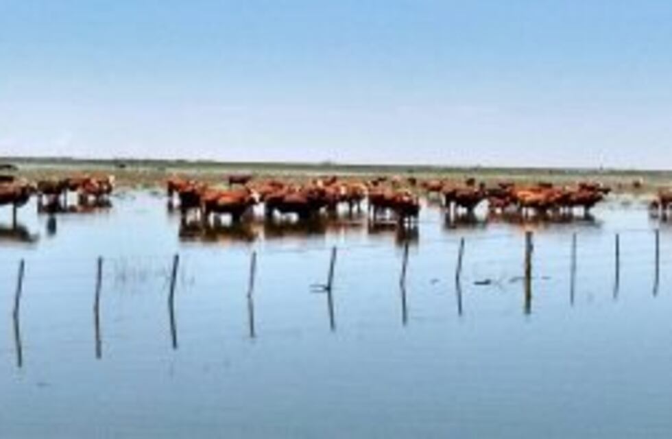Federación Agraria de Córdoba afirma que están atrasadas las obras para drenar los campos inundados