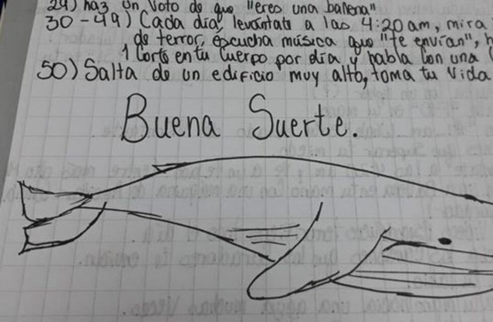 Entre Ríos: murió un adolescente de 16 años por el juego de la "Ballena Azul"