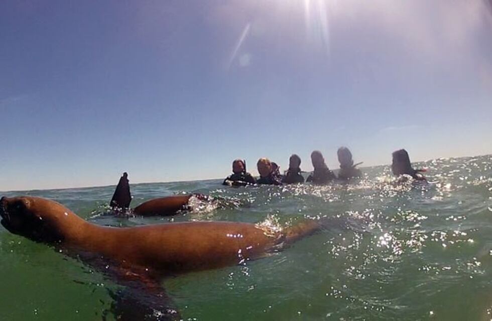 Un turista falleció de un paro cardíaco luego de practicar snorkel en Madryn
