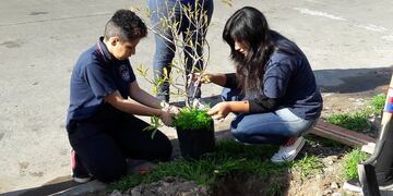 Escuelas Verdes CABA.