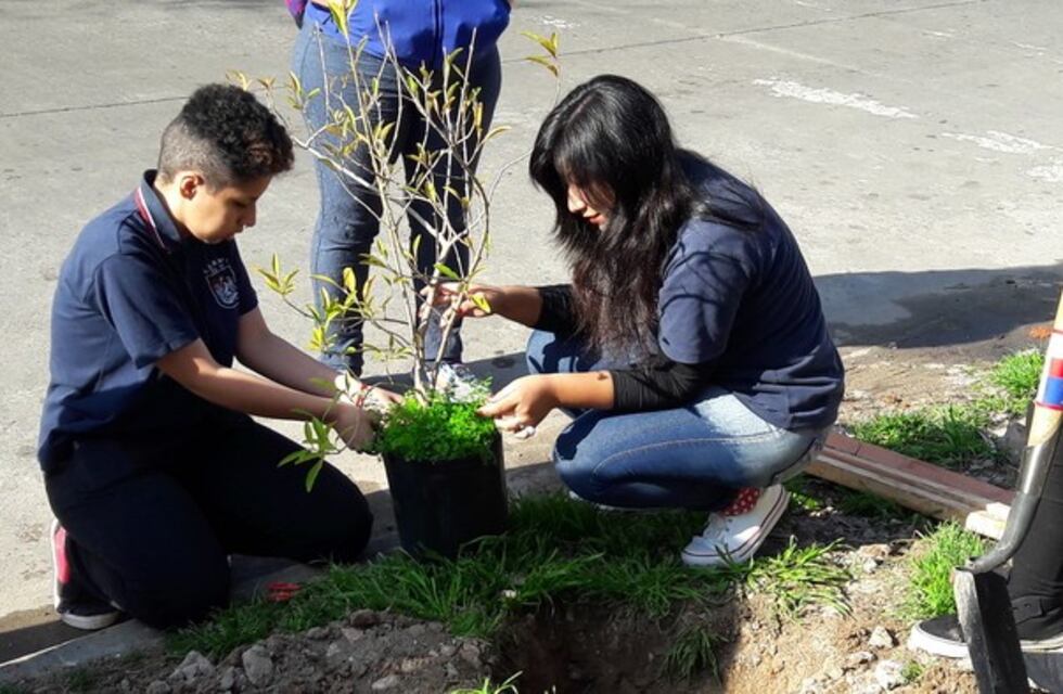 Plantaron los primeros 50 árboles de un plan que busca colocar 20 mil en la Ciudad
