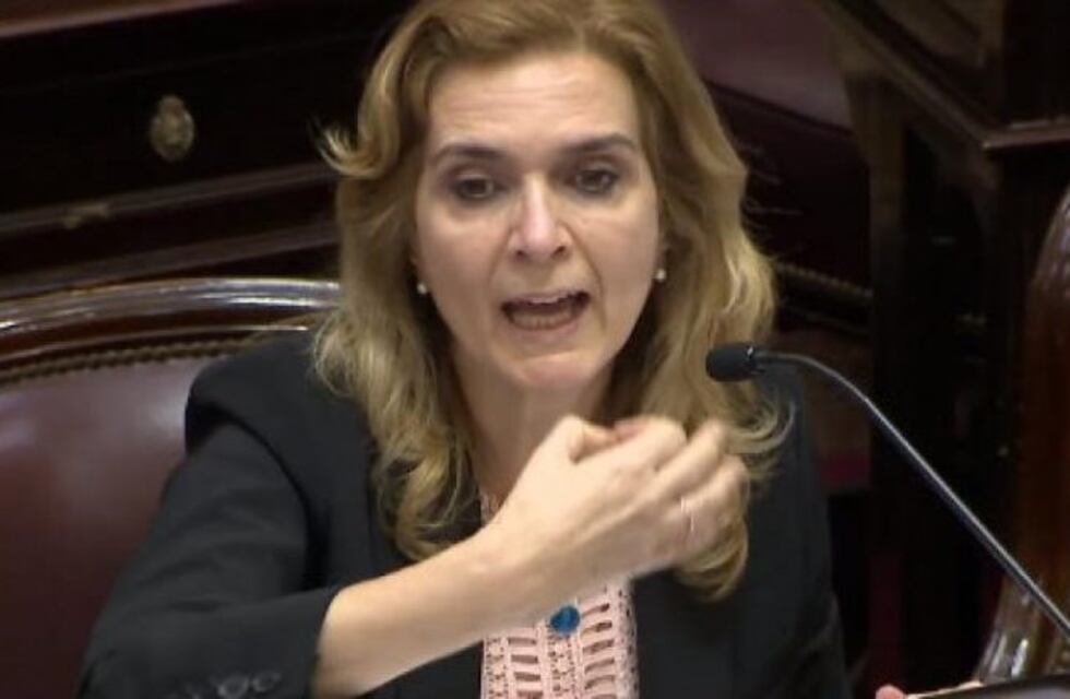 El voto de los senadores tucumanos en la sesión del Presupuesto 2019