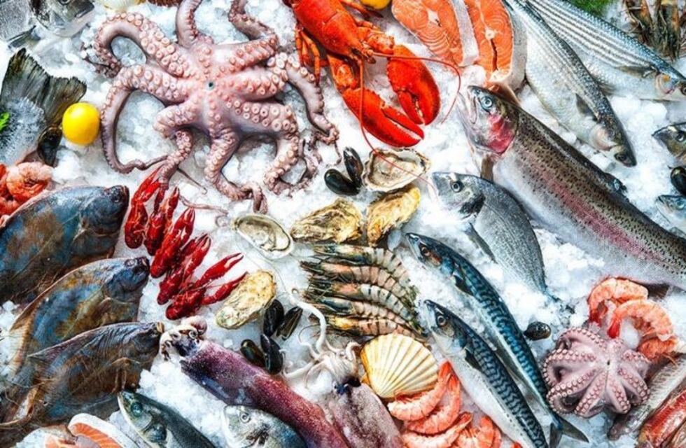 Claves para detectar cuándo el pescado es fresco y cómo conservarlo de esa manera