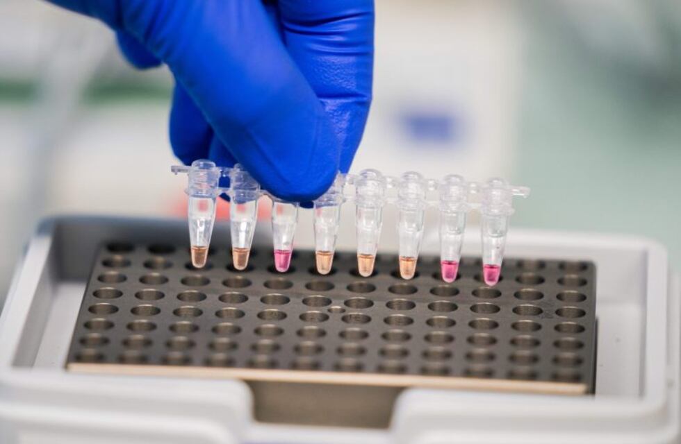 Detectaron 132 nuevos casos de coronavirus y fallecieron otras 2 personas