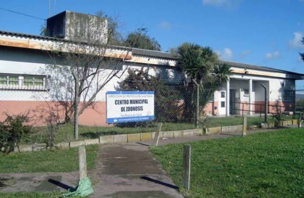 Los perros que atacaron a una mujer en la playa "no serán dados en adopción"