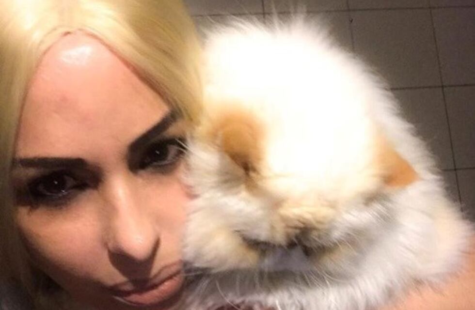 La extraña confesión de Daniela Cardone sobre sus gatos
